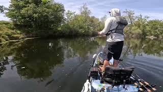 ITS FROG FISH TIME! Thank god for my ​⁠Yak Gadget rod storage!