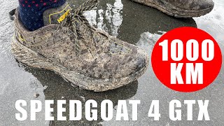 HOKA Speedgoat 4 GTX 1000km Review - Der Trailschuh Dauerläufer