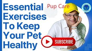 Essential Exercises to Keep Your Dog Healthy (28-52 Weeks) | GNP Sir"