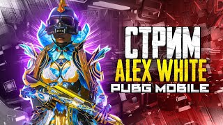 СТРИМ ПАБГ МОБАЙЛ / СТРИМ АЛЕКС ВАЙТ / ПУТЬ К ЗАВОЕВАТЕЛЮ / PUBG MOBILE STREAM / ALEX WHITE STREAM