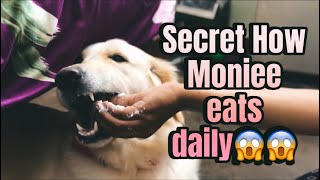 Secret how moniee eats daily food😱😱 | Kannada | Food