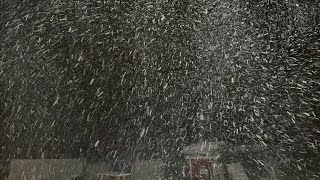 Snow storm outside my back door. #monsterstorm, #snowstorm, #winterstorms, #winter2021,