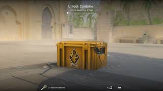 Opening a CS2 case until a Gold appears.... DAY 365