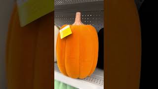 24-268 — Flock Pumpkins At Walmart