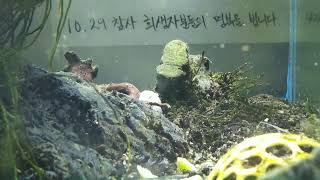 [1029참사 추모 어항방송] Aquarium Live - 2022.12.19 Mon KST