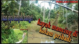 NEMU RAWAH KECIL DIHUTAN DAN TERNYATA PENGHUNINYA ADALAH HEWAN INI?!!