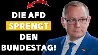 SPD-PANIK: DIE AfD TREIBT ALLE IN IHR UNGEWISSES SCHICKSAL!