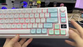 MATHEW TECH MK67 Pro Ice mint mechanical keyboard, great stablizer