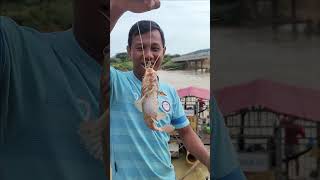 WOOW!!!Fisherman Cast Net Fishing Real Life Amazing Fishing At Countryside.(Episode 105)