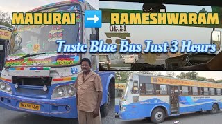 🚌TNSTC Blue Bus Cabin Vlog!!Madurai to Rameshwaram#tnstcbus