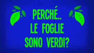 Perché le foglie sono verdi?