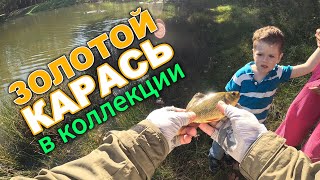 УНИКАЛЬНЫЙ ТРОФЕЙ! ЗОЛОТОЙ КАРАСЬ на ПОРОЛОН😎😉#мормышинг #стритфишинг