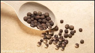 Did you know Allspice