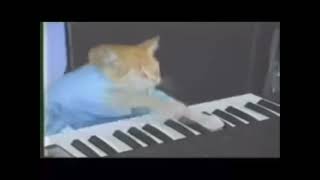 keyboard cat 20 minutes