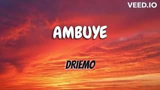 A powerful prayer by DRIEMO - Guide me I should not lose my way (LYRICS)