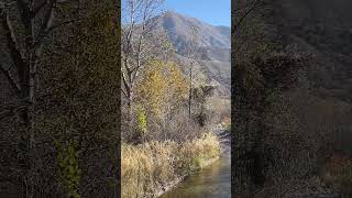 Landscape of an autumn mountain river.