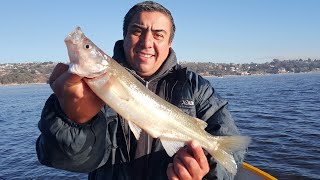 IMPARABLE!!!! -DIQUE SAN ROQUE- CÓRDOBA- UNA PESCA DE LOCO!! REALIZADA 11/8/2021