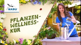 Wellnesskur für Deine Pflanzen