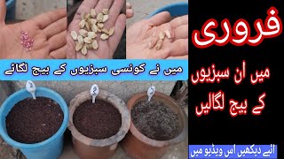 فروری میں کونسی سبزی کے بیج لگائیں /کدو \ کریلا| یا ہری مرچ | سب لگائیں| جلدی کریں