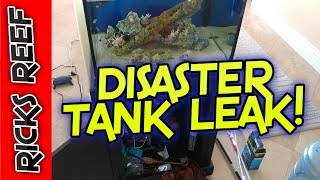 Disaster on the Reef Tank - Leaking