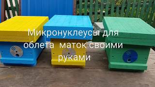 Микронуклеусы для облета маток своими руками