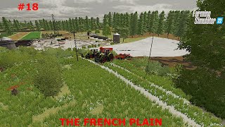 Field Work Never Stops // Farming Simulator 22 // The French Plain - Ep. 18