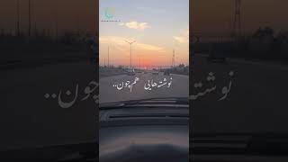 نوشته‌های نامرئی همدیگر را دریابیم تا دُریابیم.. راننده ناشنوا #deaf #آموزش_گویندگی #سجاد_کرمی