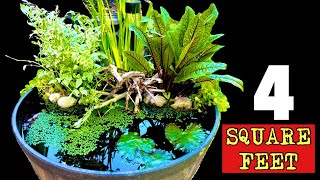 4 Square Feet: All you need for a Beautiful Water Garden! Step by Step tutorial #minipond #patiopond