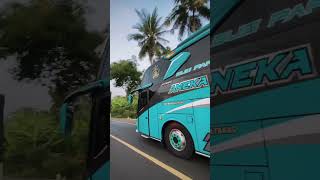 Cinematic Bus Pariwisata ANEKA BINTANG