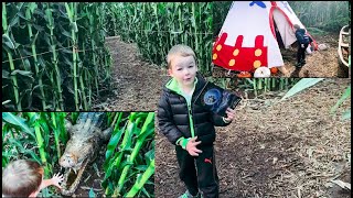 EXTREMELY LARGE CORN MAZE. LOST PIRATE SEEKING ADVENTURE. TOOK LONG TIME TO FIND WAY OUT.