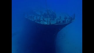 Sea Tiger Dive-Oahu 2015