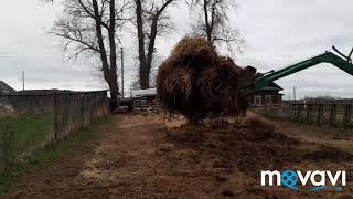 САМОДЕЛЬНЫЙ ПОДЪЕМНИК НА ТРАКТОР В РАБОТЕ//ЧИСТИМ НАВОЗ У ОВЕЦ.