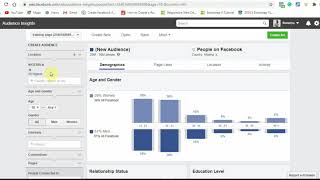 How to create your audience using Facebook audience insight