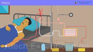 CBSE NCERT Science Class - Life Processes -Transportation and excretion