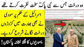 The Reality behind planting Gharqad Tree in India and Israel