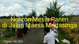 Mesin Panen di Jalan Maesa