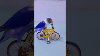 Funniest animation video cute baby 🐥🍼 animals pets video #funny #animalsfunny #animals #funnypets