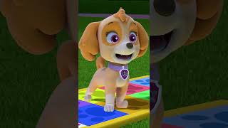 PAW Patrol : La Pat' Patrouille | Liberty et Stella jouent à PUP PUP BOOGIE ! #Shorts