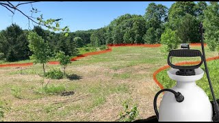 PREPARING your Food Plots for BEGINNERS - (cheap and easy)