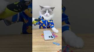 #funny #thatlittlepuff #satisfying #puffpuff #diy #whatshouldpuffdo #cats #funnyshorts