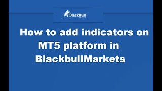 How to add indicators on MT5 platform in BlackbullMarkets