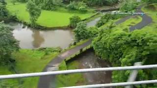 Nageshwari river and flouroscent green grass | Scene 17