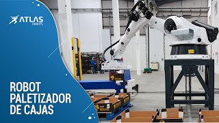 Paletización automática de cajas - robot que paletiza cuatro palets a la vez