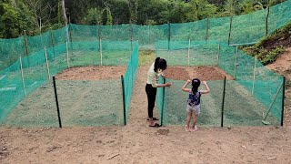 17-year-old single mother : Building Rows of Peaches Around the Garden _ Farm Development