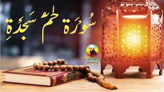 Surah Ha mim sajdah | Quran Recitation | Quran Ki Tilawat | Quran Pak Ki Tilawat | Quran Tilawat