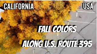 US Highway Route 395 JAW DROPPING Fall Color Destinations | U.S. 395 California