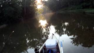 kayaking on a local river