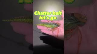 Fishing The chatter bait#Fishing,Colorado #FishingDowntownDenver #BassFishing #ChatterBait