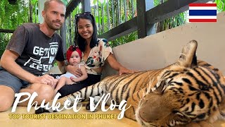 We visit tourist spots in Phuket, Big Buddha, feeding the Elephant and Tiger Park