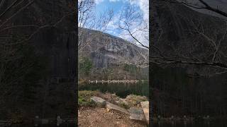 Stone Mountain ❤️🐾 Enjoying the view 😎 #shorts #dog #history